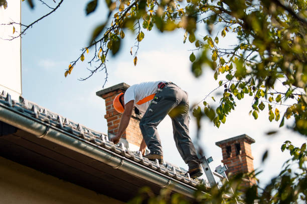 Best Metal Roofing Contractor  in Wood River, IL