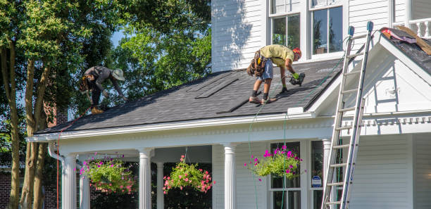 Best Roof Gutter Cleaning  in Wood River, IL